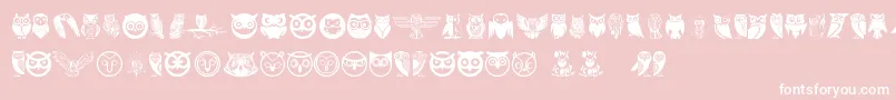 Owl Font – White Fonts on Pink Background