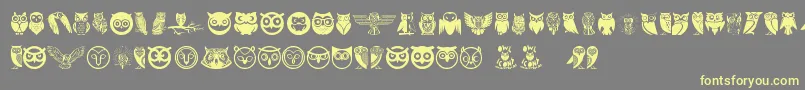 Owl Font – Yellow Fonts on Gray Background