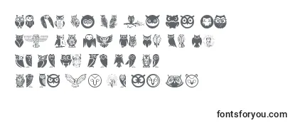 Owl Font