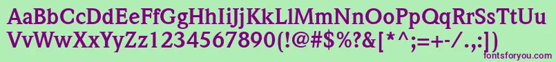 ItcWeidemannLtBold Font – Purple Fonts on Green Background