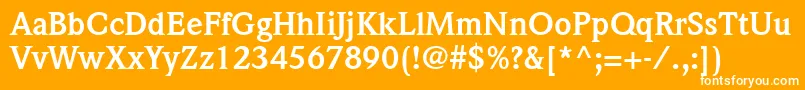 フォントItcWeidemannLtBold – オレンジの背景に白い文字