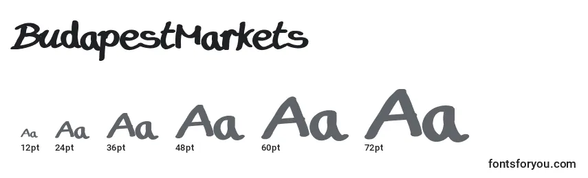 Размеры шрифта BudapestMarkets