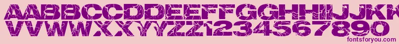 Electrical Font – Purple Fonts on Pink Background