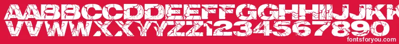 Electrical Font – White Fonts on Red Background