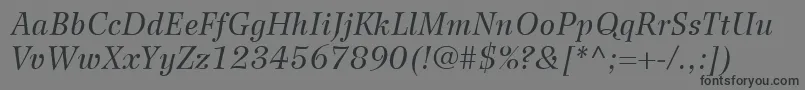 フォントWilkeLt56Italic – 黒い文字の灰色の背景