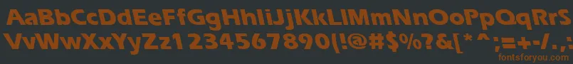 ErgoeextraboldbsRegular Font – Brown Fonts on Black Background