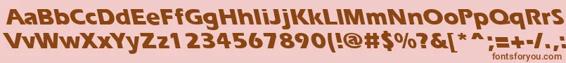 ErgoeextraboldbsRegular Font – Brown Fonts on Pink Background