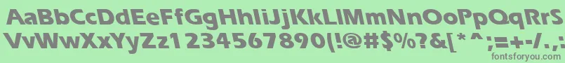 ErgoeextraboldbsRegular Font – Gray Fonts on Green Background