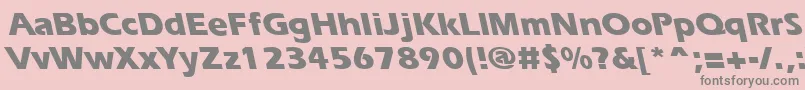 ErgoeextraboldbsRegular Font – Gray Fonts on Pink Background