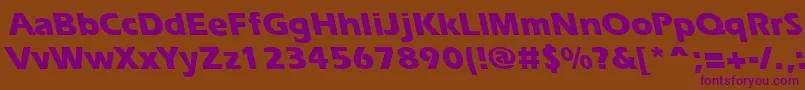 ErgoeextraboldbsRegular Font – Purple Fonts on Brown Background