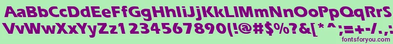 ErgoeextraboldbsRegular Font – Purple Fonts on Green Background