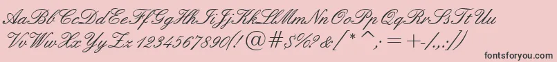 Tt0840m Font – Black Fonts on Pink Background