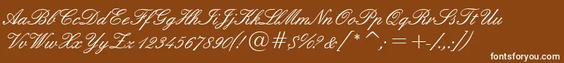 Tt0840m Font – White Fonts on Brown Background