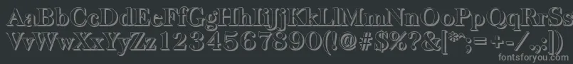 BaskervilleshadowBold Font – Gray Fonts on Black Background