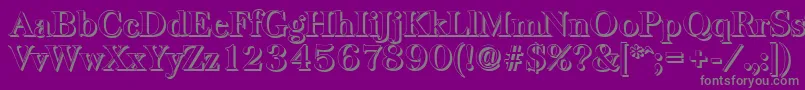 BaskervilleshadowBold Font – Gray Fonts on Purple Background