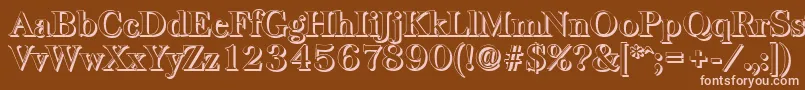 BaskervilleshadowBold Font – Pink Fonts on Brown Background