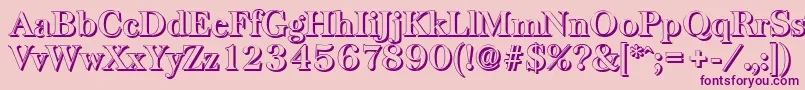 BaskervilleshadowBold Font – Purple Fonts on Pink Background