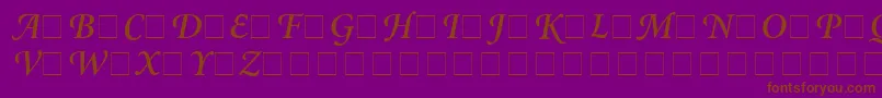 AtlantixSwashSsiSemiBoldItalic Font – Brown Fonts on Purple Background