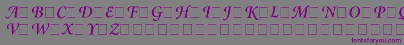 フォントAtlantixSwashSsiSemiBoldItalic – 紫色のフォント、灰色の背景