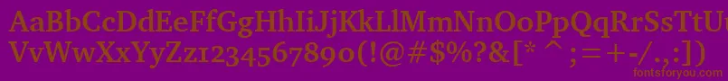 CharterBdOsItcTtBold Font – Brown Fonts on Purple Background