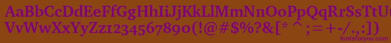 CharterBdOsItcTtBold Font – Purple Fonts on Brown Background