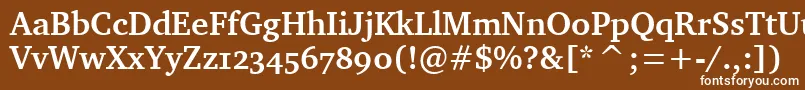 Police CharterBdOsItcTtBold – polices blanches sur fond brun