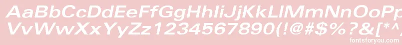 UniversBoldextobl Font – White Fonts on Pink Background