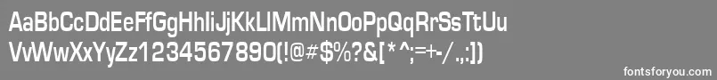 EurosecondRegular Font – White Fonts on Gray Background
