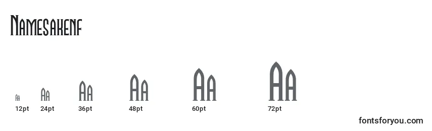 Namesakenf Font Sizes