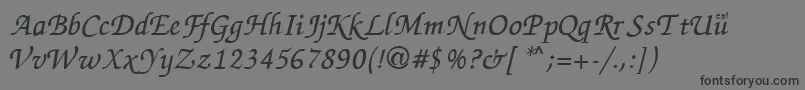 ZapChance-Schriftart – Schwarze Schriften auf grauem Hintergrund