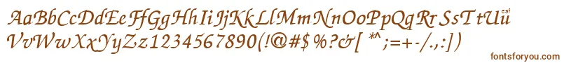 ZapChance Font – Brown Fonts on White Background