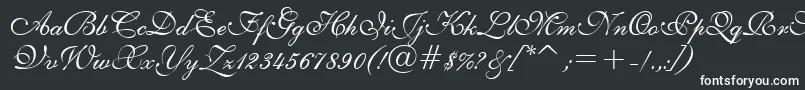 E111psto-fontti – valkoiset fontit mustalla taustalla