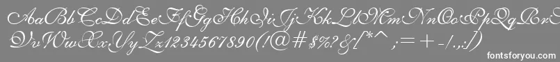 E111psto-Schriftart – Weiße Schriften auf grauem Hintergrund