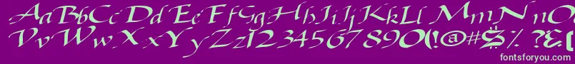 BaggageRegularTtnorm Font – Green Fonts on Purple Background