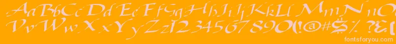 BaggageRegularTtnorm Font – Pink Fonts on Orange Background