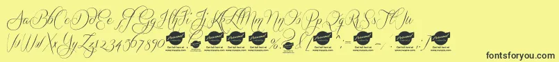 QuickierDemo Font – Black Fonts on Yellow Background