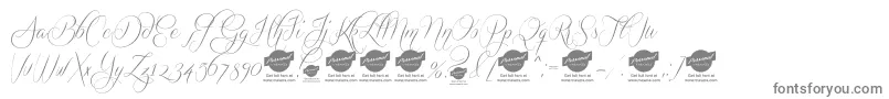 QuickierDemo-fontti – harmaat kirjasimet valkoisella taustalla