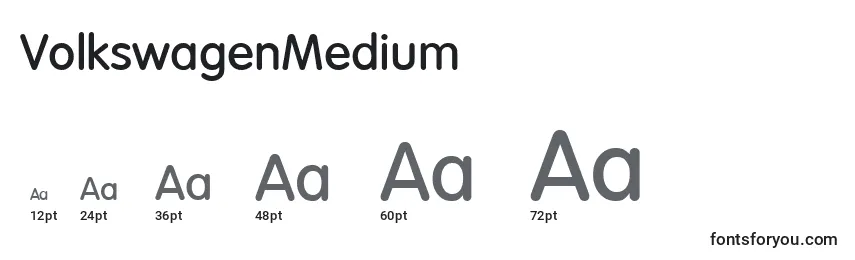 VolkswagenMedium Font Sizes