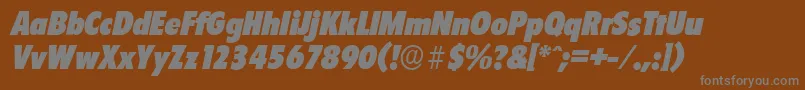 FloridaserialBlackItalic Font – Gray Fonts on Brown Background