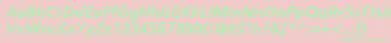 AgForeignerLightBoldItalicBold Font – Green Fonts on Pink Background