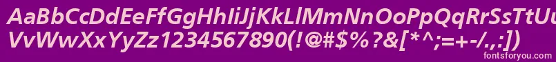 AgForeignerLightBoldItalicBold Font – Pink Fonts on Purple Background
