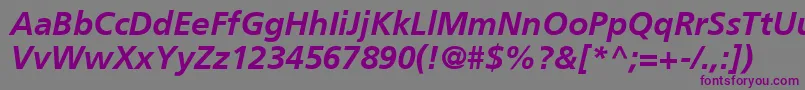 Шрифт AgForeignerLightBoldItalicBold – фиолетовые шрифты на сером фоне