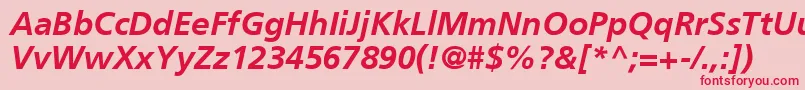 AgForeignerLightBoldItalicBold Font – Red Fonts on Pink Background