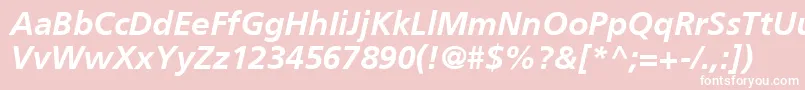 AgForeignerLightBoldItalicBold Font – White Fonts on Pink Background