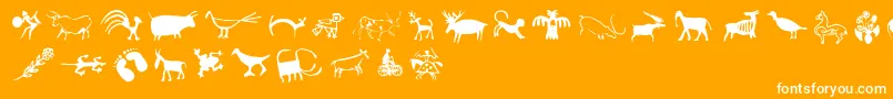 Cavepaid-Schriftart – Weiße Schriften auf orangefarbenem Hintergrund