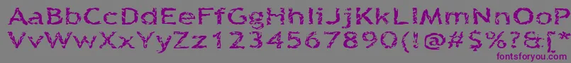 フォントQuinquefoliolate – 紫色のフォント、灰色の背景