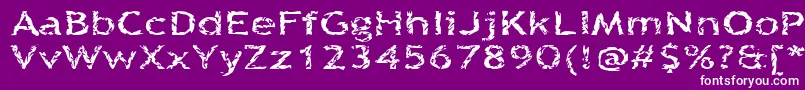 Fonte Quinquefoliolate – fontes brancas em um fundo violeta