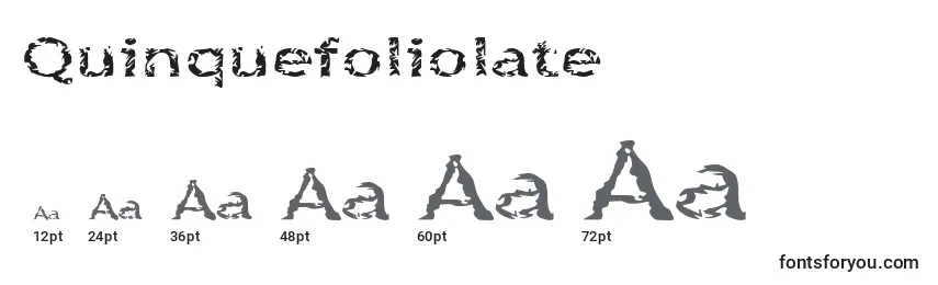 Размеры шрифта Quinquefoliolate