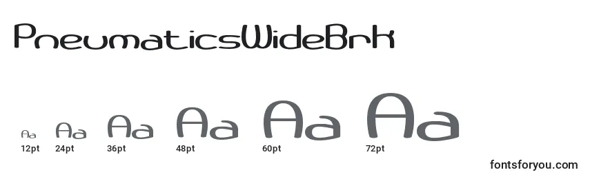 PneumaticsWideBrk Font Sizes