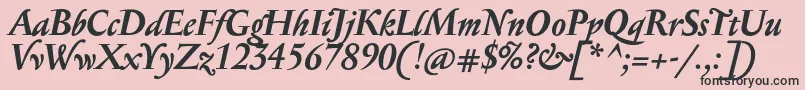 SerapionProBoldItalic Font – Black Fonts on Pink Background